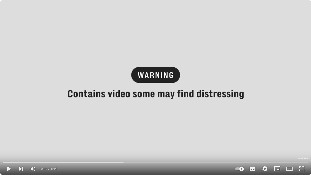 Libanon | Eskalieren um zu DEESKALIEREN !